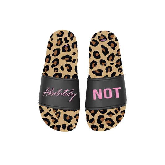 Absolutely Not Slides