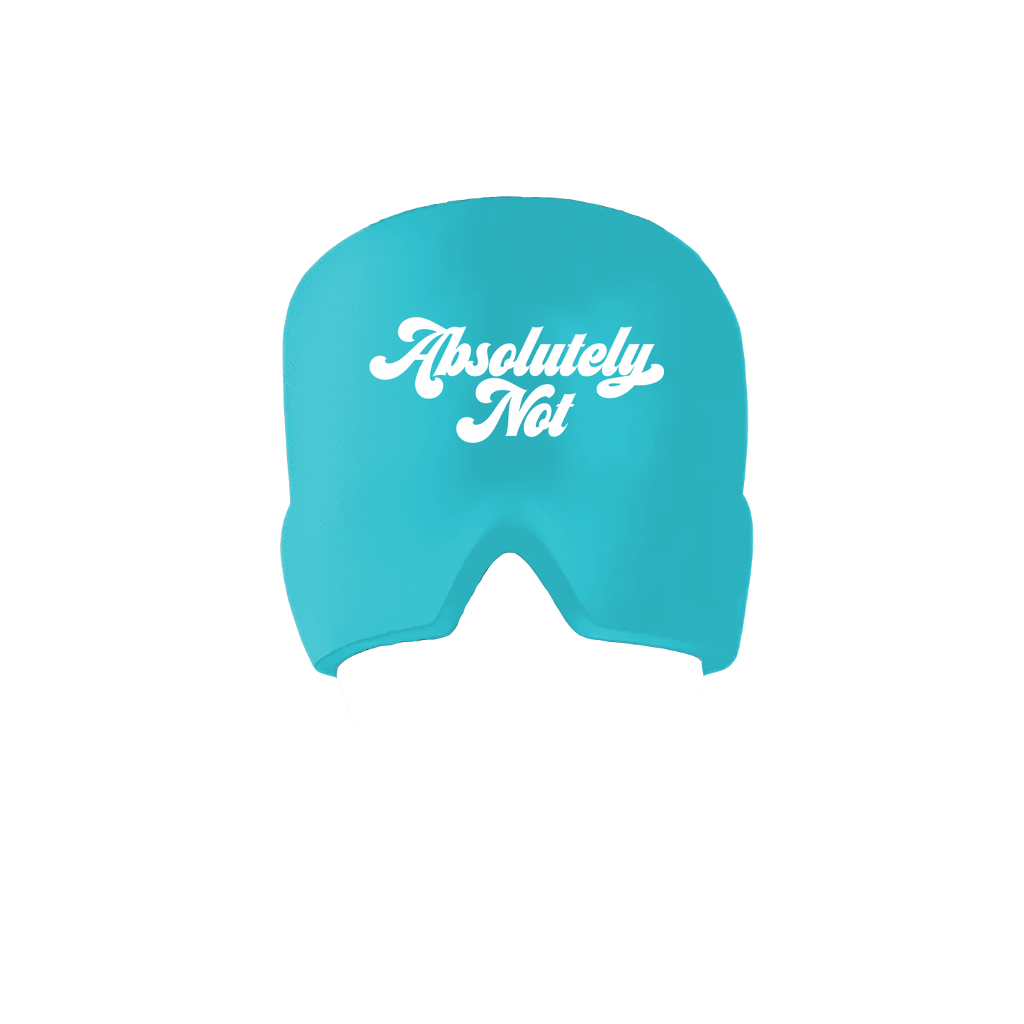 Absolutely Not Mask